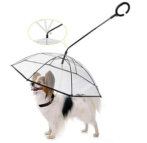 paraguas para perros pomerania
